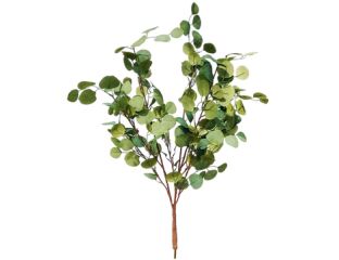 80cm (3ft) MultiBranch Eucalyptus Branch