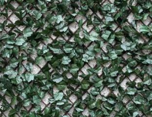 100cm x 200cm Ivy Trellis 