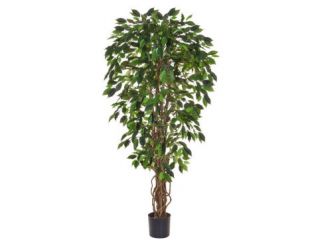 5 ft (150 cm) Green Ficus "Liana" (NTT) Artificial Tree