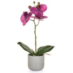 Phal Real Touch Purple with Pot