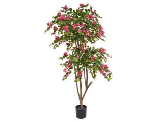 180cm Flowering Bougainvillea - Pink (Natural Tree Trunk)