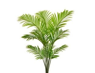 5ft (150cm) Paradise Palm Artificial Tree