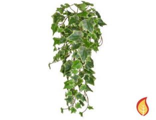 55cm Trailing Ivy  - Variegated (Fire Resistant)