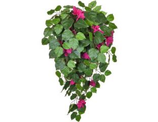 (100cm) Pink and Green Bougainvillea