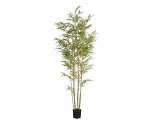 Bamboo Mini (210cm)