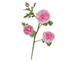 75cm Peony Stem - Pink