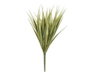 Grass Vanilla Grass Yellow-Green 30cm