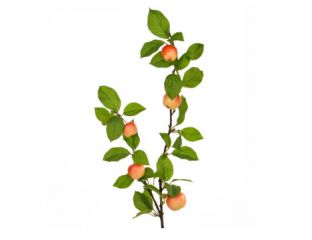 109cm (3.5ft) Apple Foliage with Yellow/Red Fruit