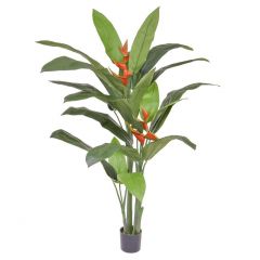 Palm Heliconia (170cm)