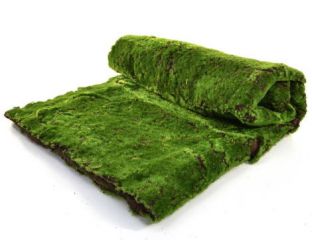 100cm x 200cm Topiary Moss Mat (Fire Resistant)