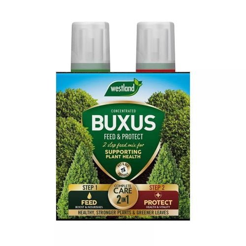 Westland 2 in1 Feed and Protect Buxus 2x500ML