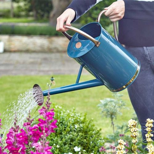 Watering Can - Blue 9L