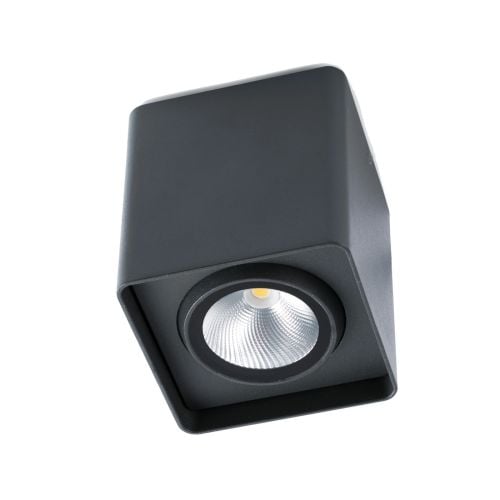 Faro Tami LED Dark Grey Ceiling Lamp - 9W