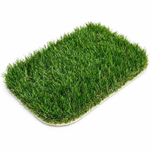 50mm Cullin Grass