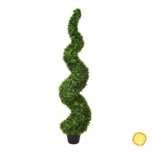 5ft (150cm) Topiary Buxus Boxwood Spiral (UV Resistant)