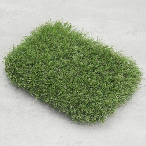 47mm Glendalough Grass