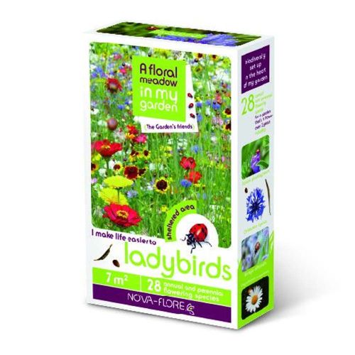 Nova Flore Garden Friends Ladybirds (Seed Pack)