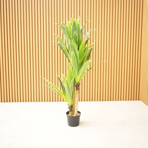 5.5ft (160cm) 3 Stem Artificial Dracaena Tree