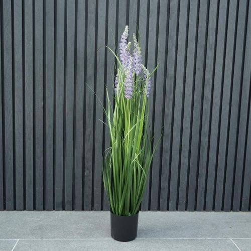 3ft (91cm) Outdoor Living Onion Grass Purple