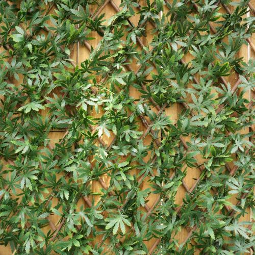 100cm x 200cm Green Acer Hedge Trellis