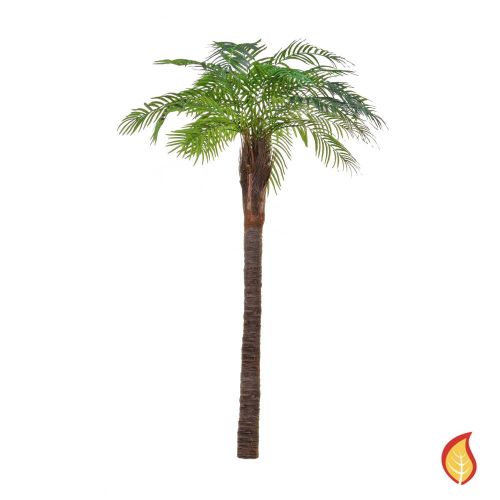 6ft (180cm) Palm Robellini (Fire Resistant)