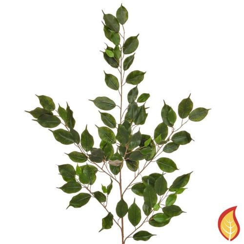 100cm Foliage Ficus Exotica Green (Fire Resistant)