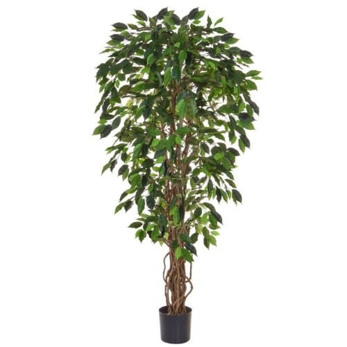 5ft (150cm) Green Ficus "Liana" (NTT) Artificial Tree