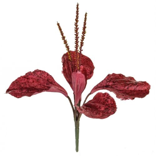 29cm Plantain - Red