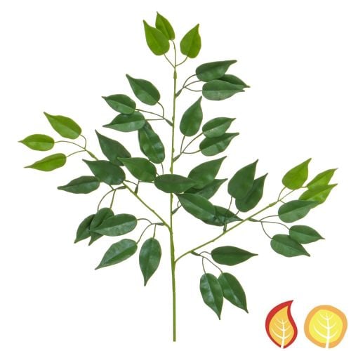 59cm Foliage Ficus (Fire Resistant & UV Protected)