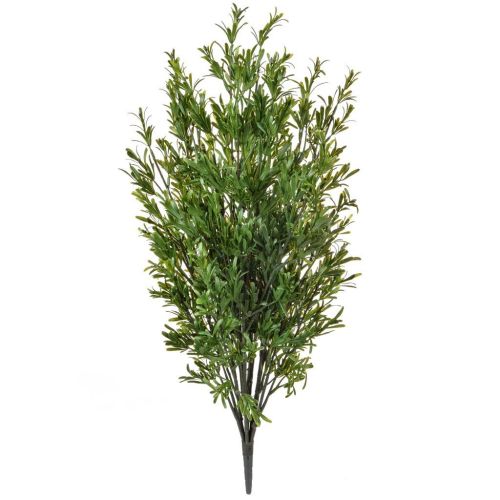 Topiary Rosemary Berries (74cm)