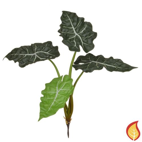 49cm Plants Base Alocasia Bush (Fire Resistant)