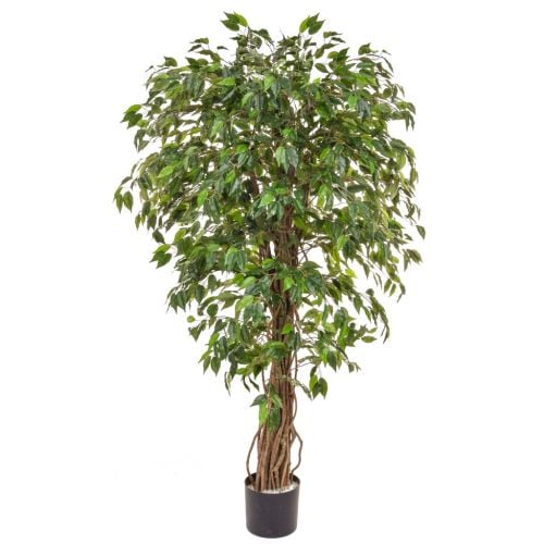 150cm Natural Tree Trunk Ficus Liana – Green