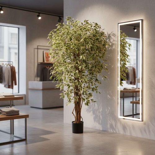 180cm Ficus Liana - Variegated (Natural Tree Trunk)