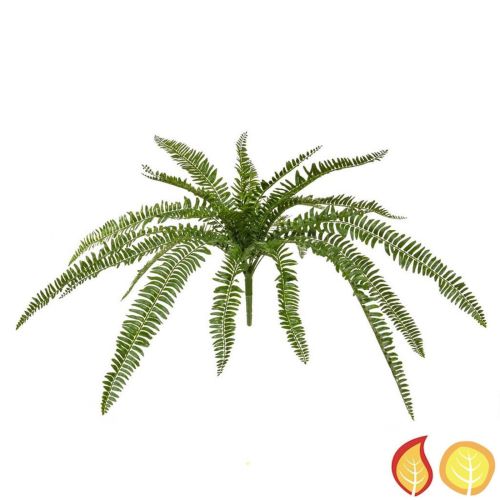 70cm Plants Boston Fern (Fire Resistant & UV Protected)