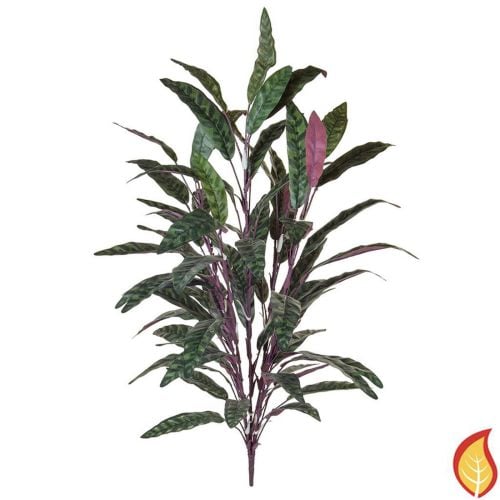 85cm Plants Peacock Bush Red and Green (Fire Resistant)