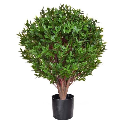 80cm Topiary Privet Tree Purple Potted (UV Protected)