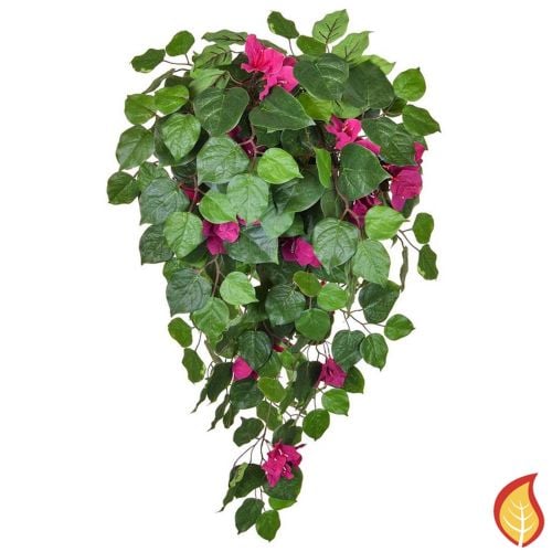 100cm Pink and Green Bougainvillea (Fire Resistant)