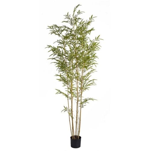 7ft (210cm) Bamboo Mini (Fire Resistant)