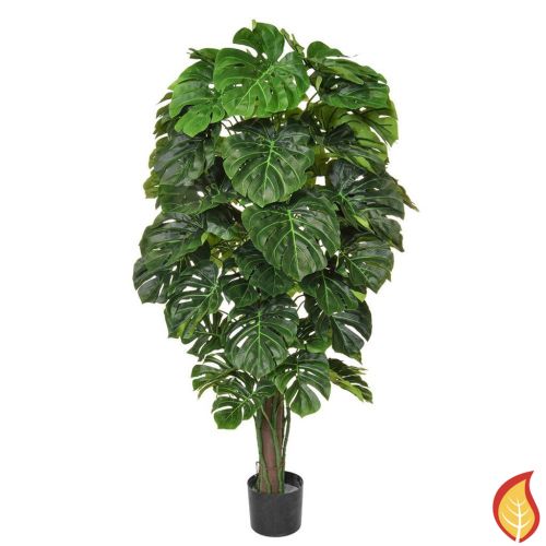 5ft (150cm) Monstera (Fire Resistant & UV Protected)