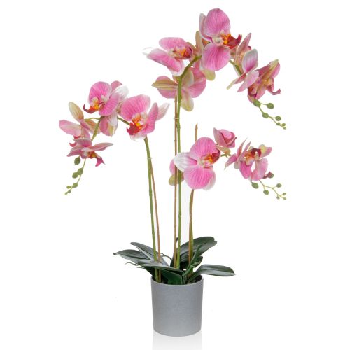 70cm Orchid Pink in Grey Pot