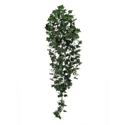 85cm (3ft) Green English Ivy