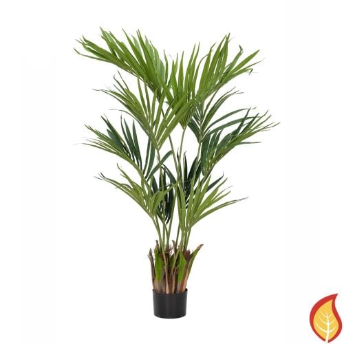 5ft (150cm) Palm Kentia (Fire Resistant)