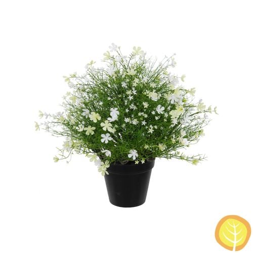 47cm Plants Baby's Breath White in Pot (UV Resistant)