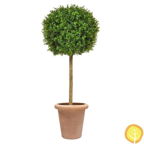 4ft (125cm) Buxus Ball Tree In Ravello Pot (UV Resistant)