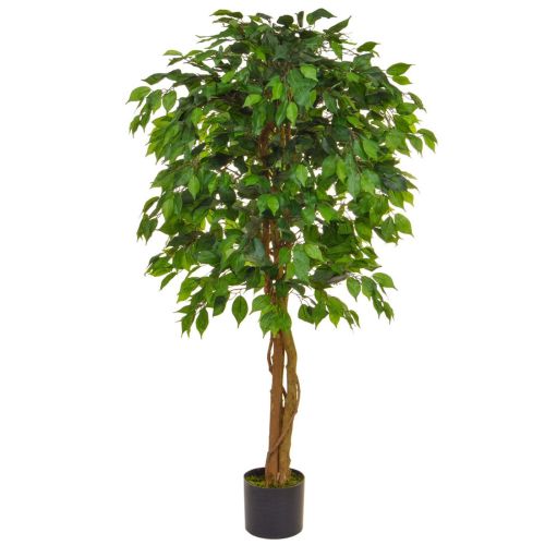 150 Ficus Contract - Green