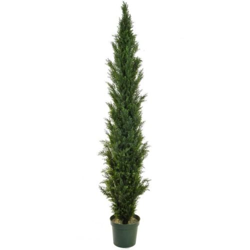 210cm (7ft) Topiary Cedar Mini Pine (UV Protected)