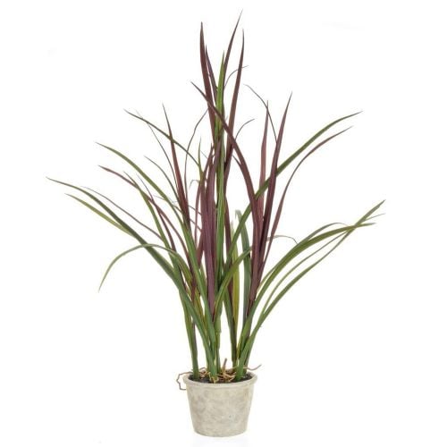 70cm Grass with Pot