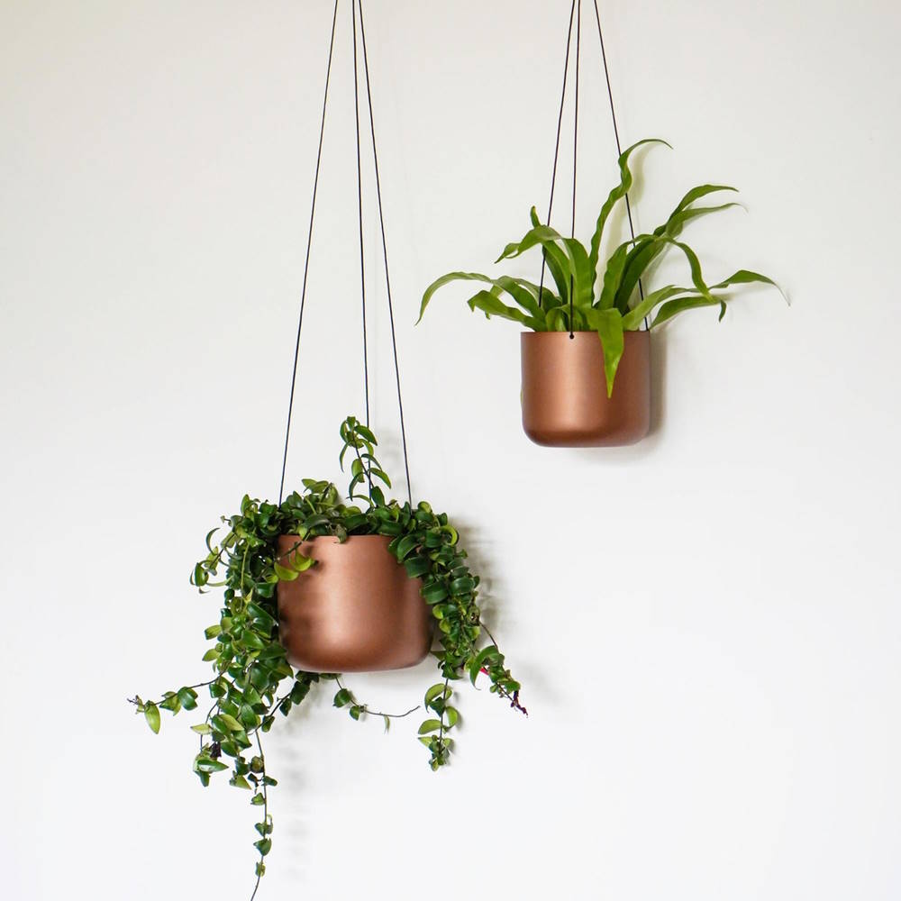 Kew Matt Copper Hanging Planter Large with Hook 17cm