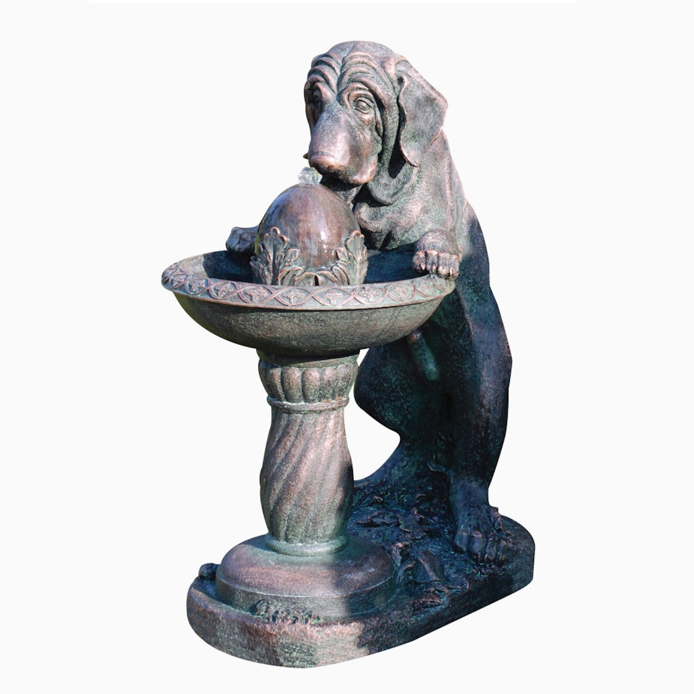 Dog at Fountain Water Feature