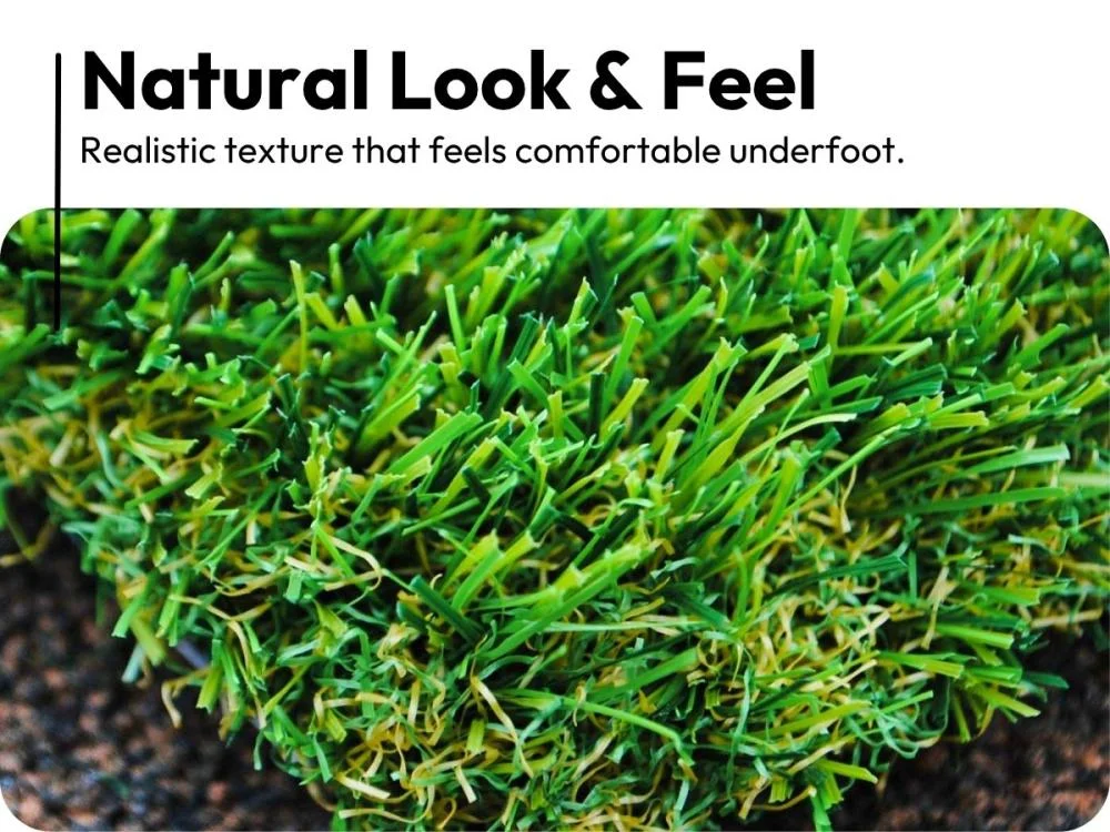 BallyFern Artificial Grass